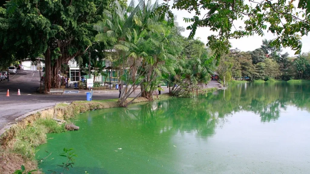 Parque Lagoa do Japiim